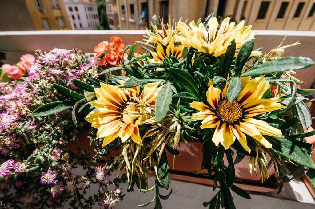 Adriano Augusto Bed & Breakfast Rome Exterior photo
